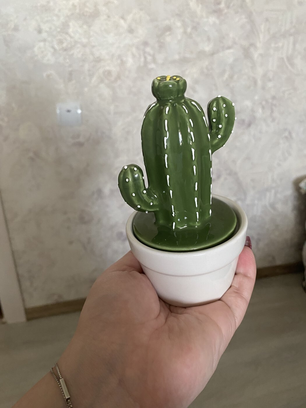 Фотография покупателя товара Банка для сыпучих Доляна «Кактус», 150 мл, 8×8×14 см, керамика - Фото 1