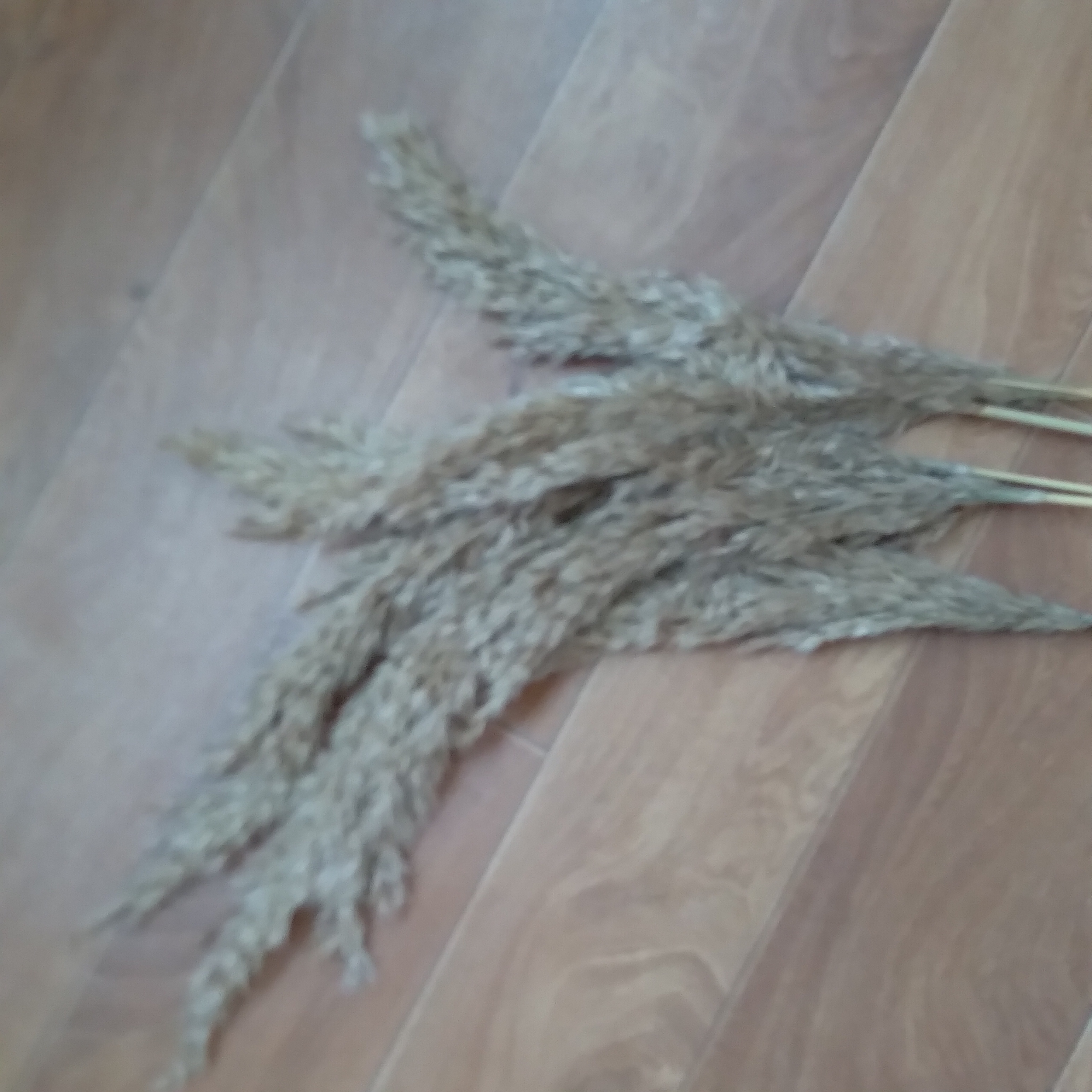 Фотография покупателя товара Сухоцветы «Камыш», h=80 см, (фасовка 5 шт., цена за 1 шт.), бежевые - Фото 5