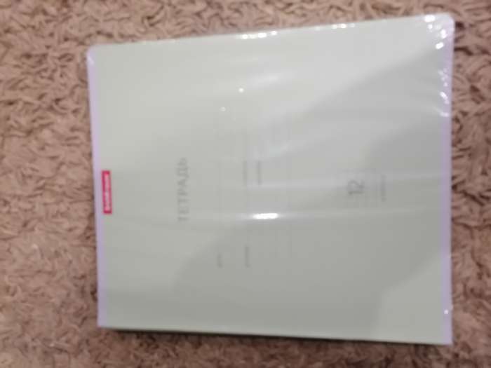 Фотография покупателя товара Тетрадь 12 листов в клетку, ErichKrause «Классика», зелёная - Фото 1