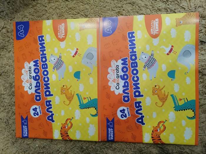 Фотография покупателя товара Альбом для рисования Calligrata А4, 24 листа, на скрепке, плотность листов 100 г/м², обложка из мелованного картона - Фото 1