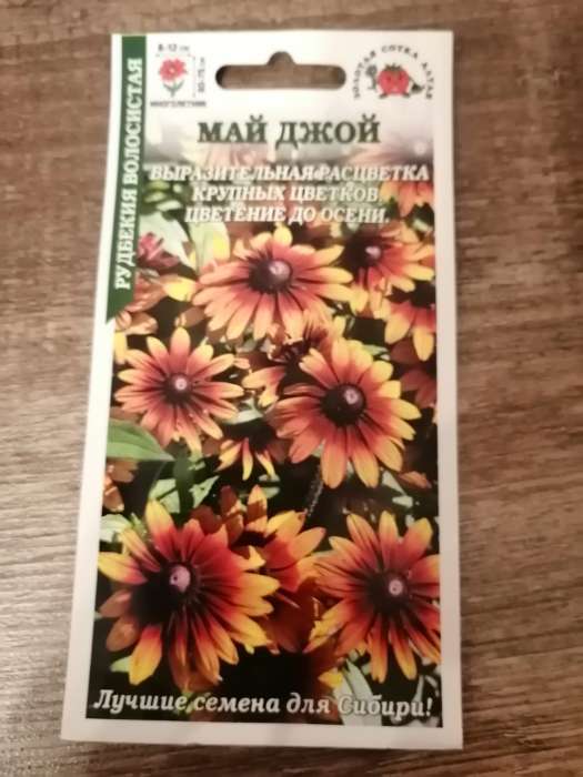 Фотография покупателя товара Семена цветов Рудбекия "Май Джой", 0,2 г - Фото 7