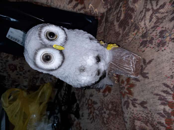 Фотография покупателя товара Подвесной декор "Сова на ветке" 10х14х21см, МИКС серый - Фото 5