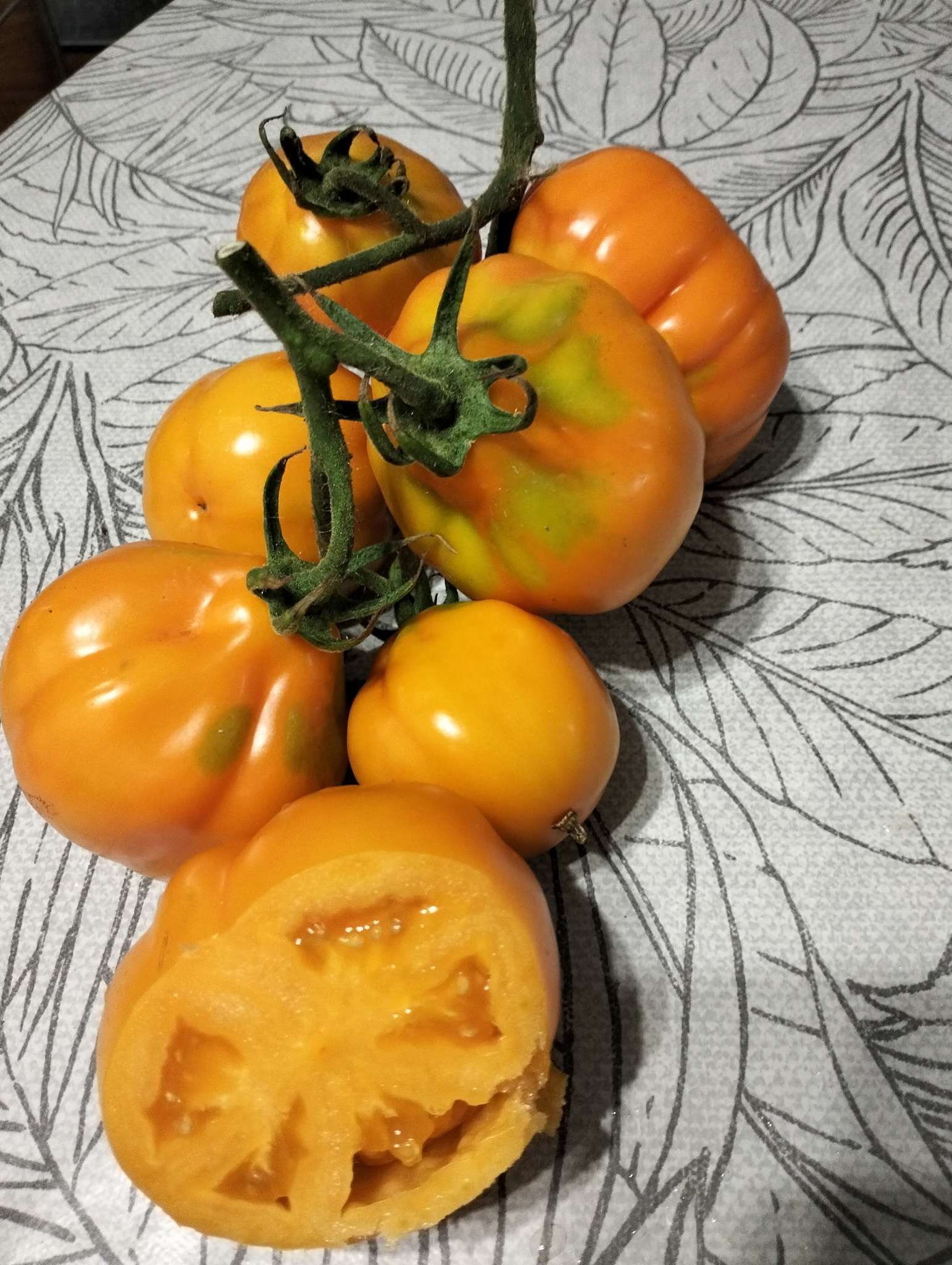 Фотография покупателя товара Семена Томат "Трюфель", оранжевый, индетерминантный,высокорослый, 0,2 г - Фото 1