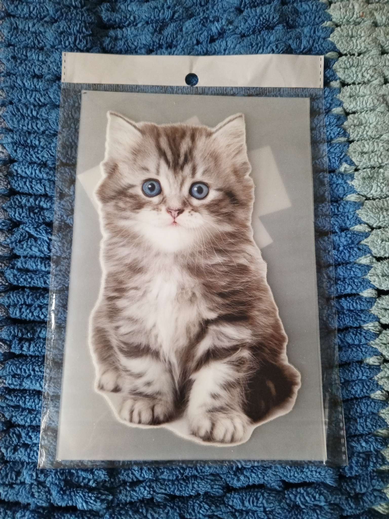 Фотография покупателя товара Термонаклейка «Котёнок», 11.6×19 см - Фото 5