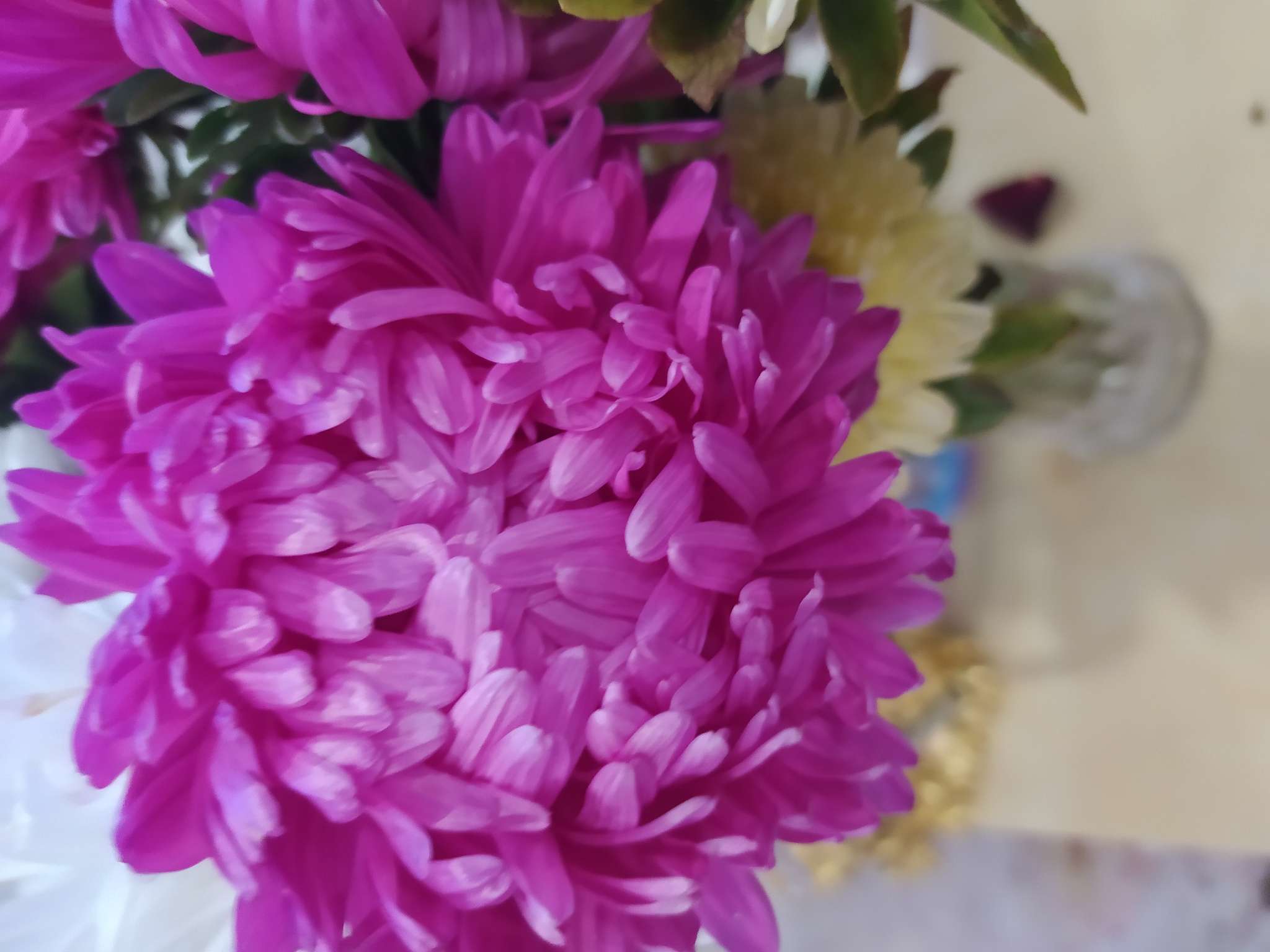 Фотография покупателя товара Семена цветов Астра "Сваха "0.2 г - Фото 2