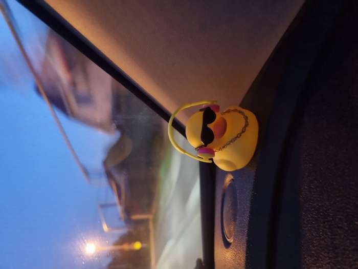 Фотография покупателя товара Утка с наушниками, цвет жёлтый, в очках - Фото 1