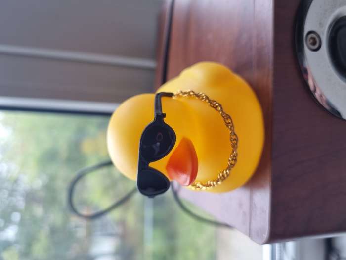 Фотография покупателя товара Утка с наушниками, цвет жёлтый, в очках - Фото 2