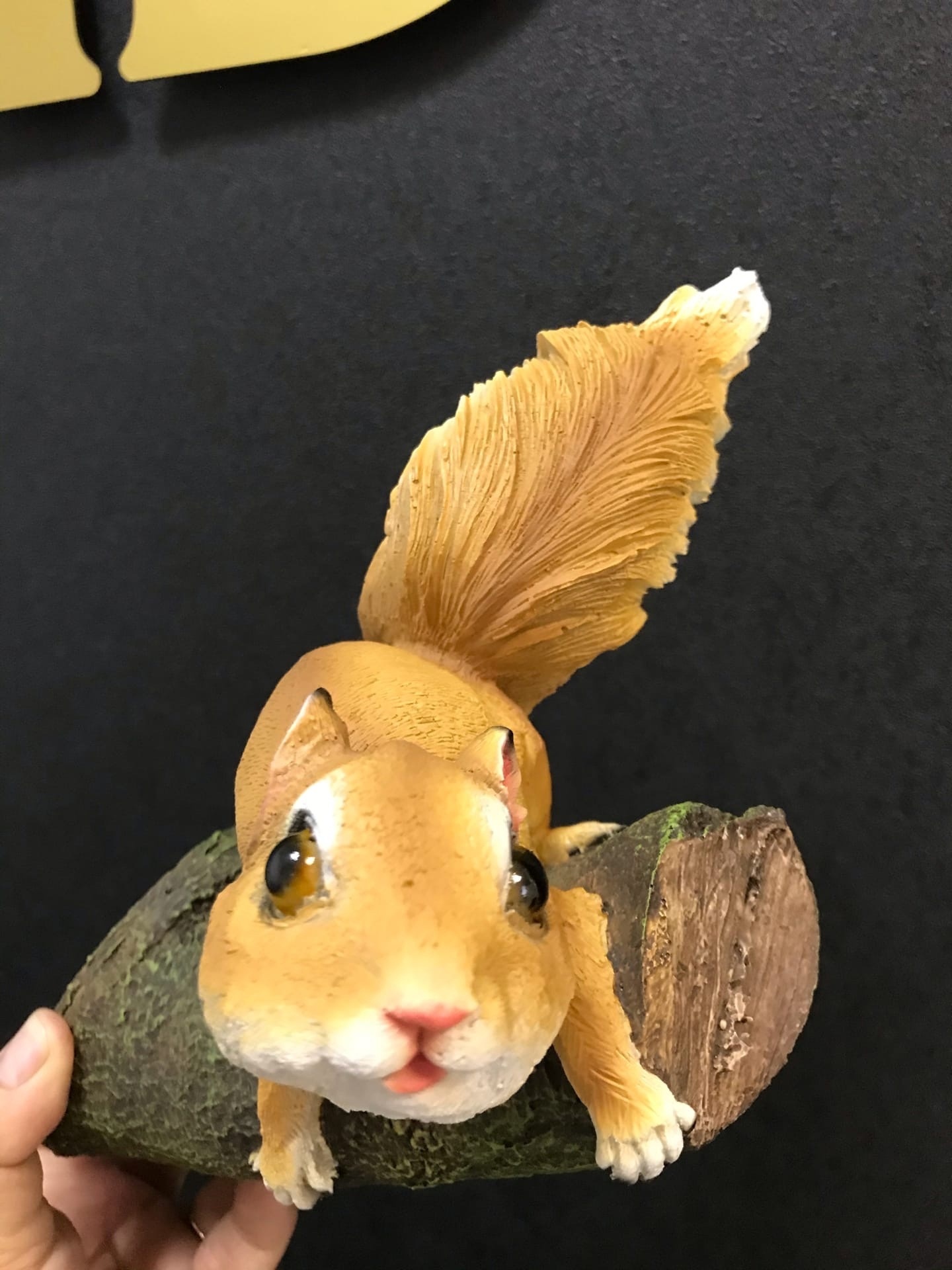 Фотография покупателя товара Подвесной декор из полистоуна «Белка на ветке», 27×19×12 см - Фото 1