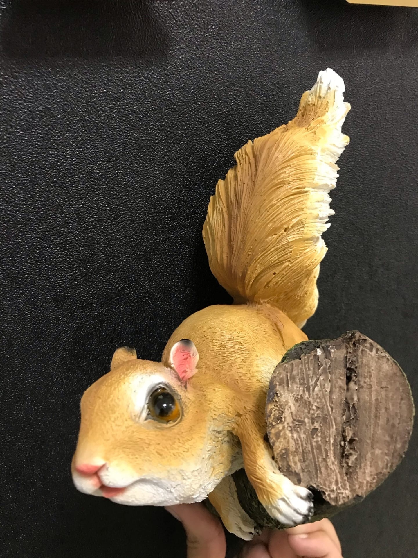 Фотография покупателя товара Подвесной декор из полистоуна «Белка на ветке», 27×19×12 см - Фото 2