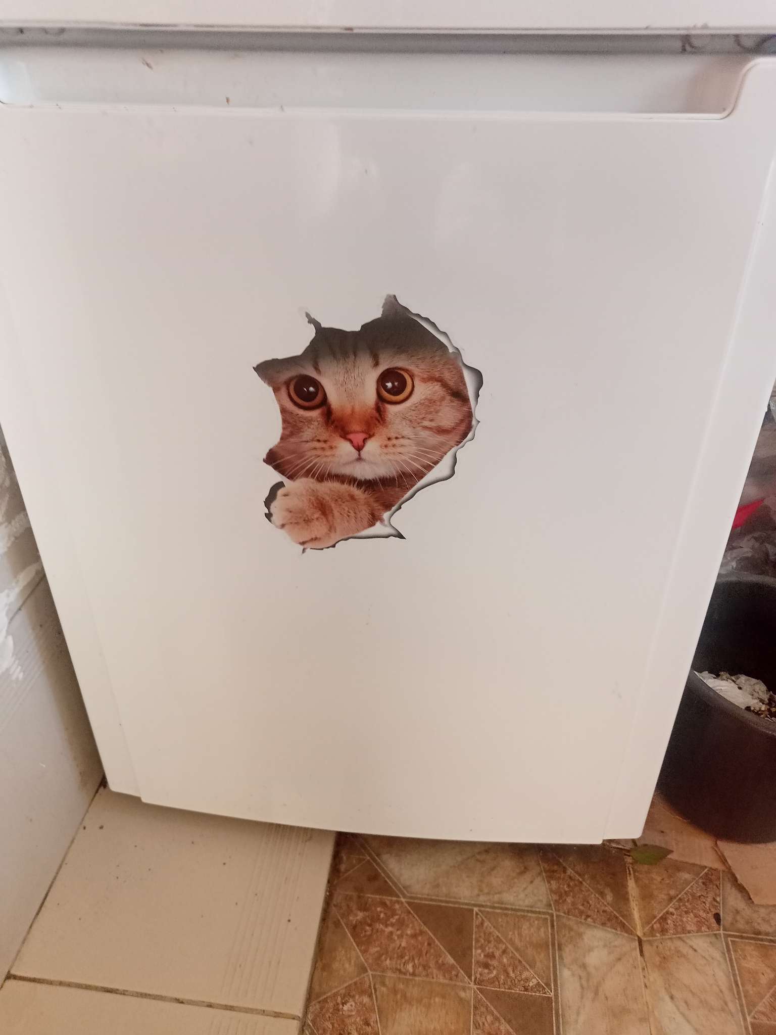 Фотография покупателя товара Интерьерная наклейка 3Д TAKE IT EASY «Кошка шотландская», на стену, 25×23 см, влагостойкая, ПВХ - Фото 7