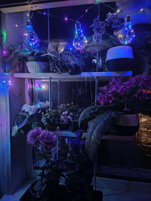 Фотография покупателя товара Гирлянда «Нить» 3 м с насадками «Лампочки», IP20, серебристая нить, 100 LED, свечение синее, 3.5 В - Фото 2