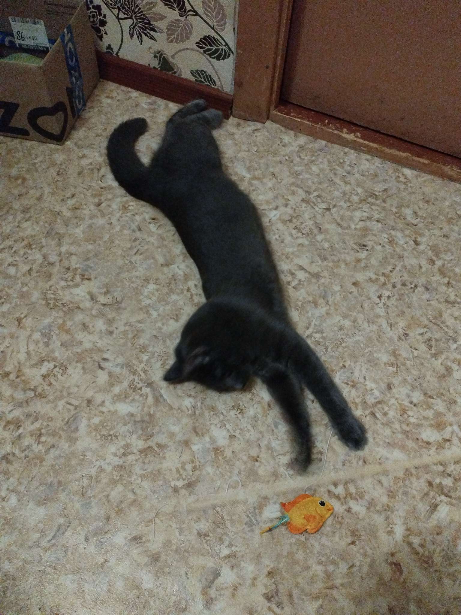 Фотография покупателя товара Дразнилка из фетра «Рыбка», 6.4×4.8 см - Фото 3