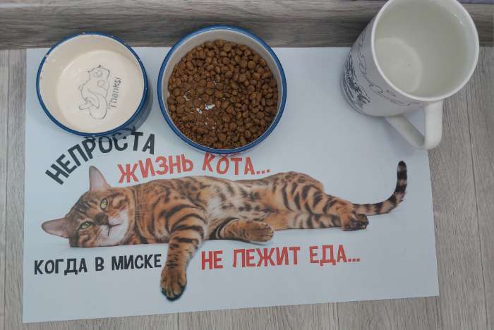Фотография покупателя товара Коврик под миску «Не проста жизнь кота», 43×28 см - Фото 1