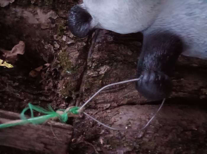 Фотография покупателя товара Подвесной декор "Панда на бамбуке" 24х15х25см - Фото 6