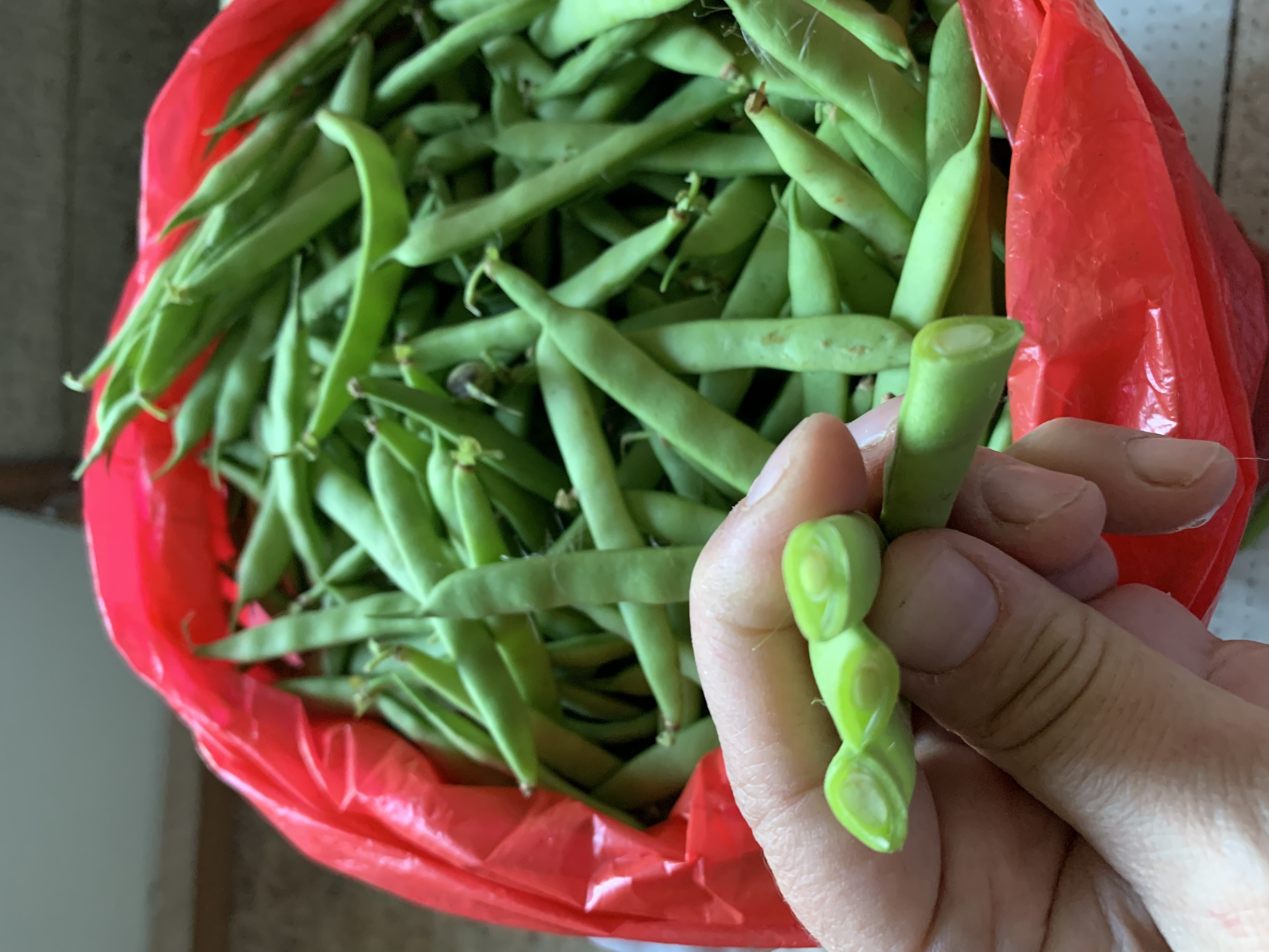 Фотография покупателя товара Семена Фасоль "Масляный Король" спаржевая, ц/п, 30 г - Фото 1