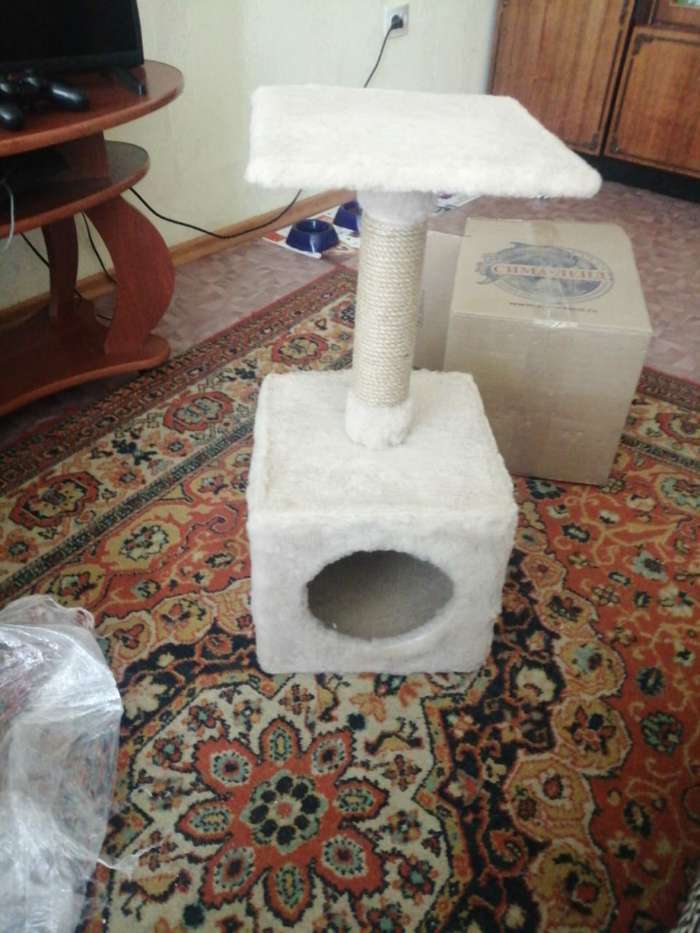 Фотография покупателя товара Домик с когтеточкой "Куб", с подставкой, бежевый, 30 х 30 х 65 см