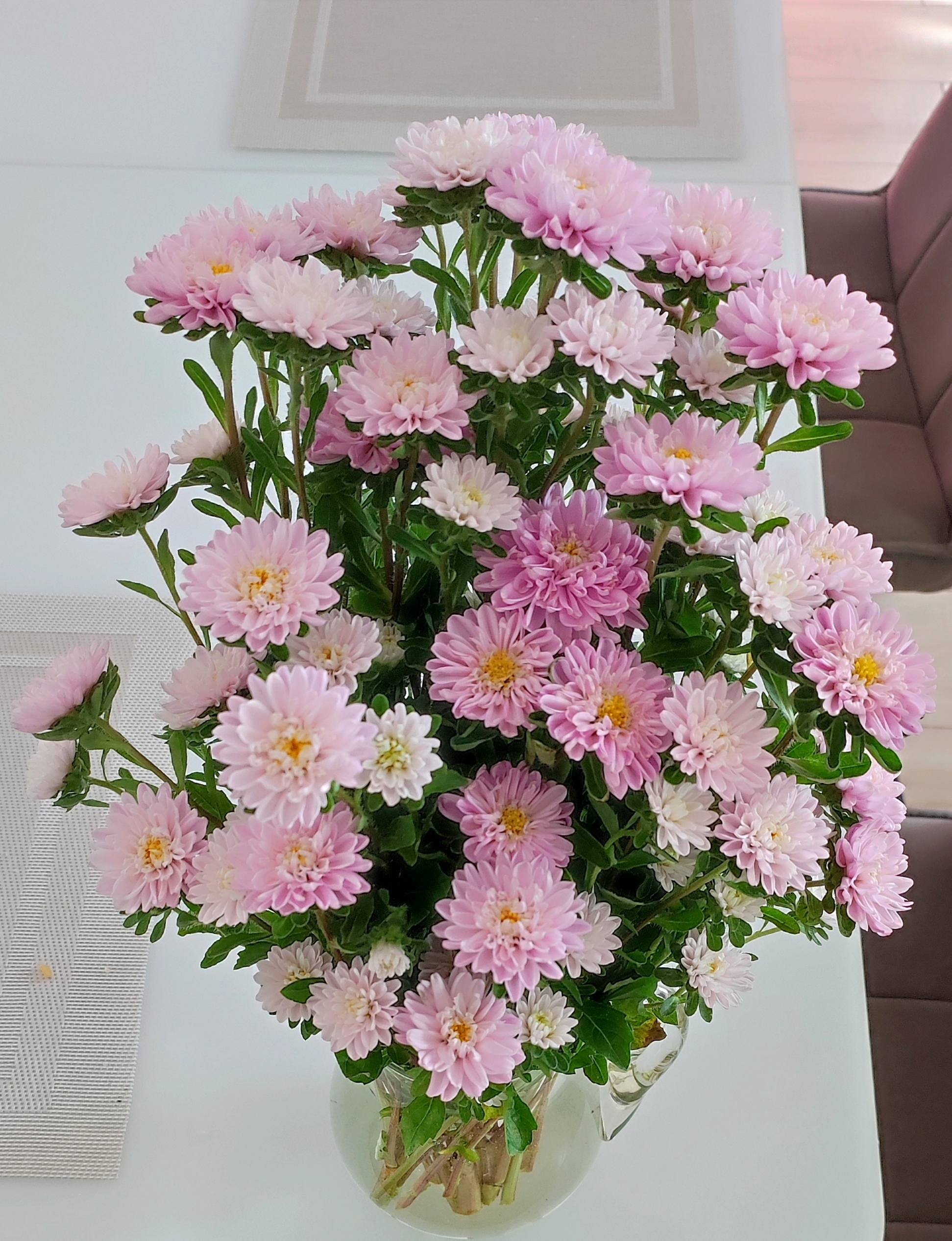 Фотография покупателя товара Семена цветов астра китайская «Трубадур Дебют», 10 шт. - Фото 1