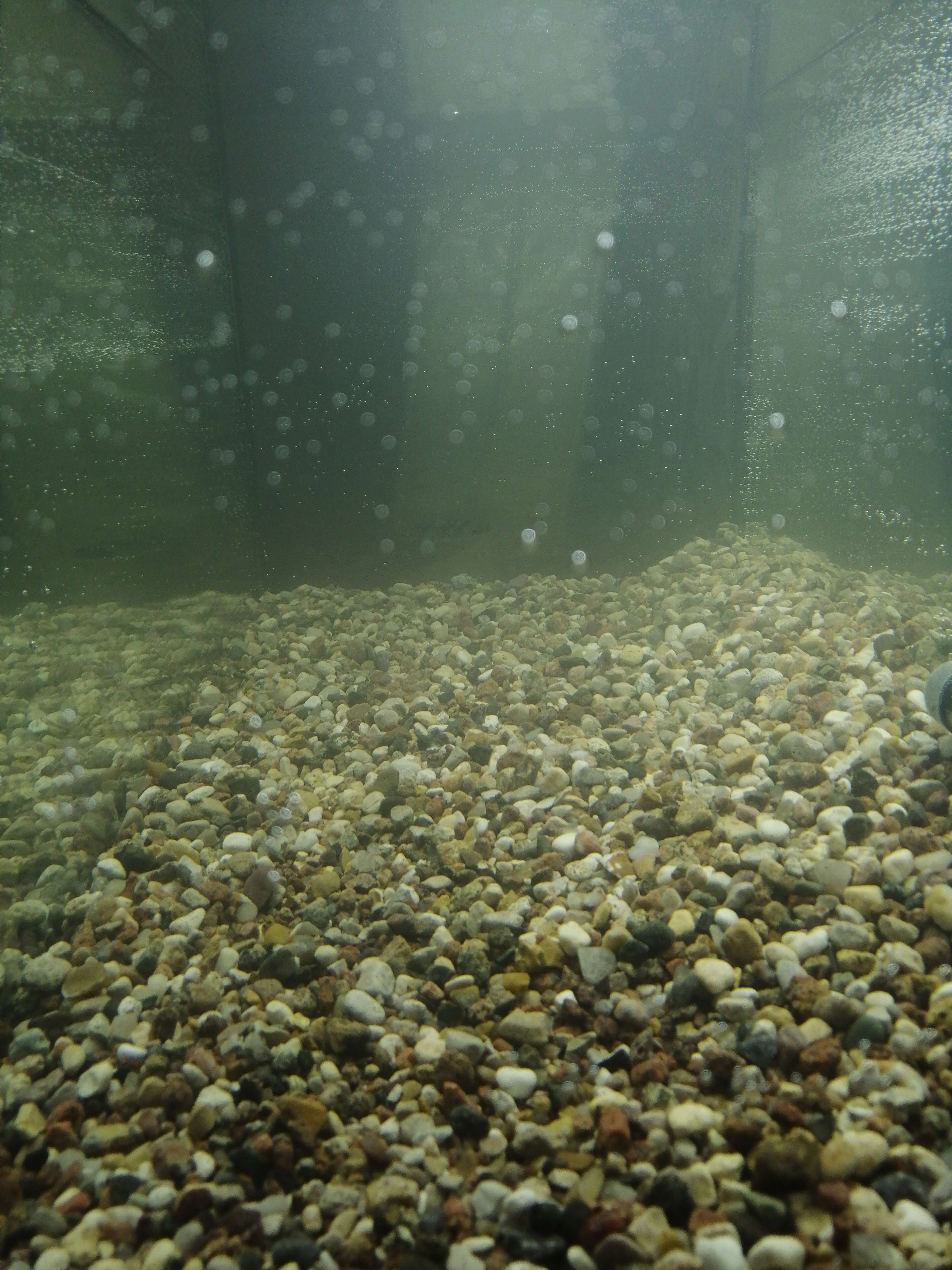 Фотография покупателя товара Грунт BARBUS гравий речной "Карамель" 3-7мм 3,5кг - Фото 5