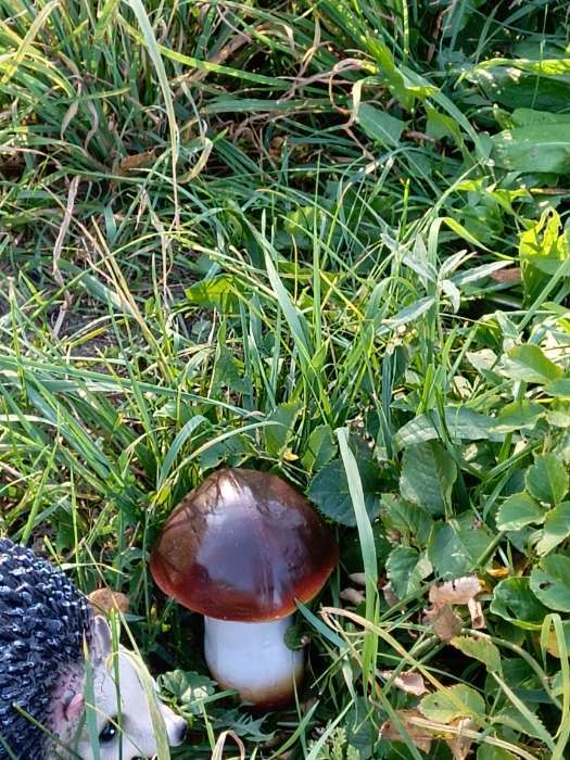 Фотография покупателя товара Садовая фигура из гипса «Грибы боровики», 14×12×15 см - Фото 1