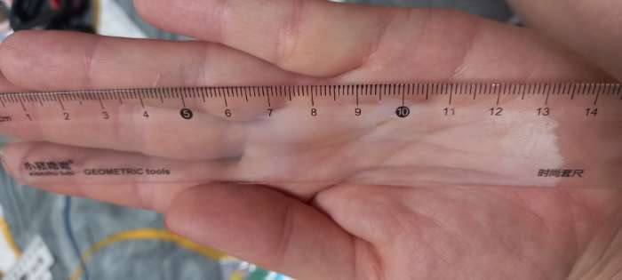 Фотография покупателя товара Линейка 15 см "Котики, Мишки", в пакете - Фото 6