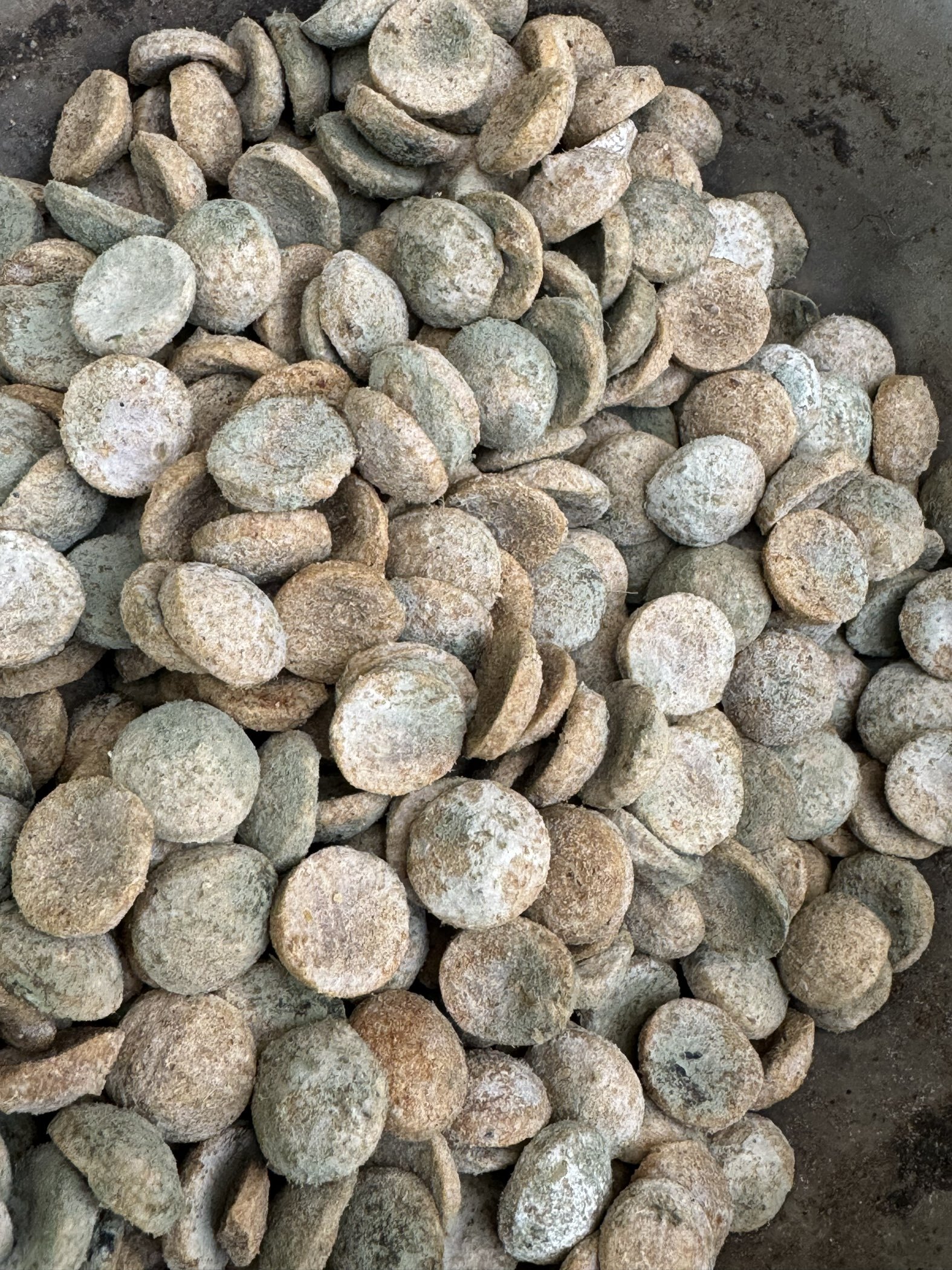 Фотография покупателя товара Сухой корм Chammy для собак крупных пород, мясное ассорти, 18 кг - Фото 2