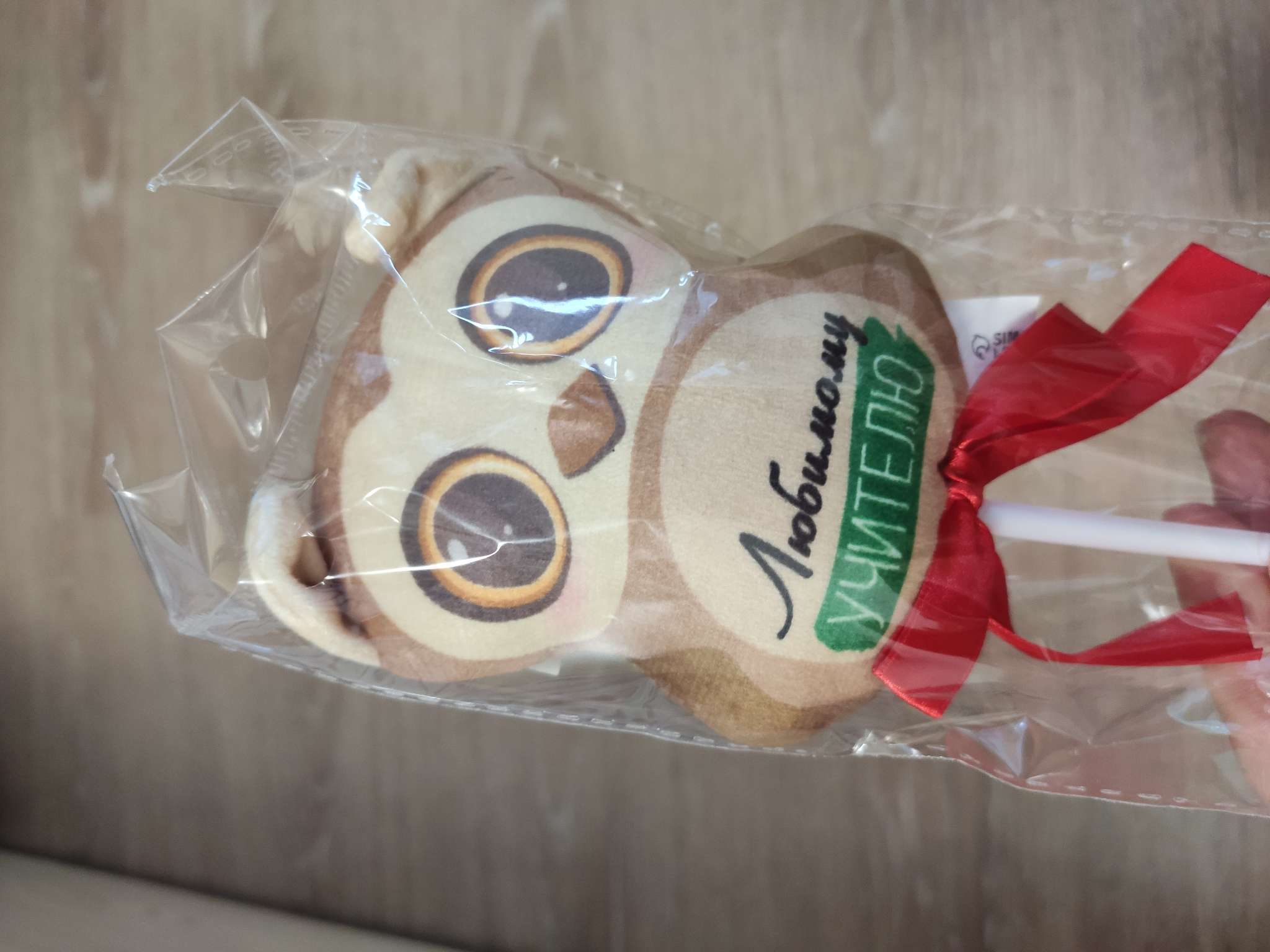 Фотография покупателя товара Мягкая игрушка в букет «Любимому учителю» - Фото 3