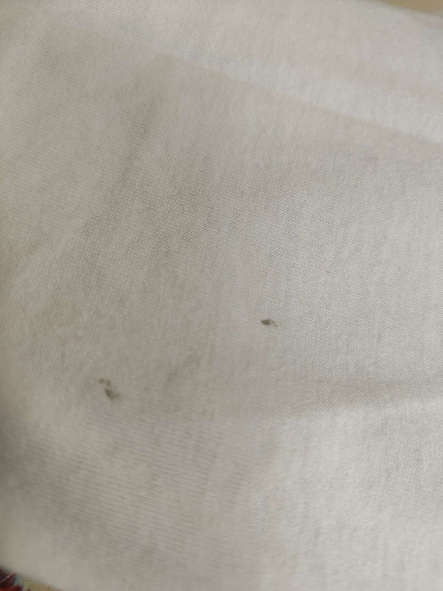 Фотография покупателя товара Пижама новогодняя женская (футболка, брюки) Tusi, белая, красная клетка, размер 44 - Фото 1