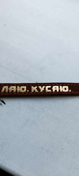Фотография покупателя товара Ошейник кожаный однослойный, тиснёный «Лаю. Кусаю», 48х2, ОШ 32-43 см, коричневый с золотом - Фото 1