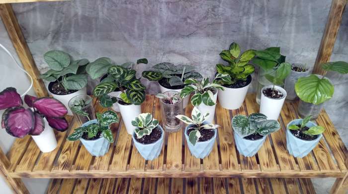 Фотография покупателя товара Кашпо для цветов «Лофт», меламин, 400 мл, МИКС - Фото 3