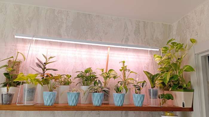 Фотография покупателя товара Кашпо для цветов «Лофт», меламин, 400 мл, МИКС - Фото 1