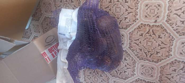 Фотография покупателя товара Семенной Картофель "Легенда", элита, 2,5 кг - Фото 3