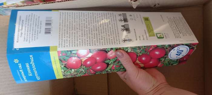 Фотография покупателя товара Клюква крупноплодная (Серия Северный Сад) «Пилигрим» 1 шт., туба - Фото 2