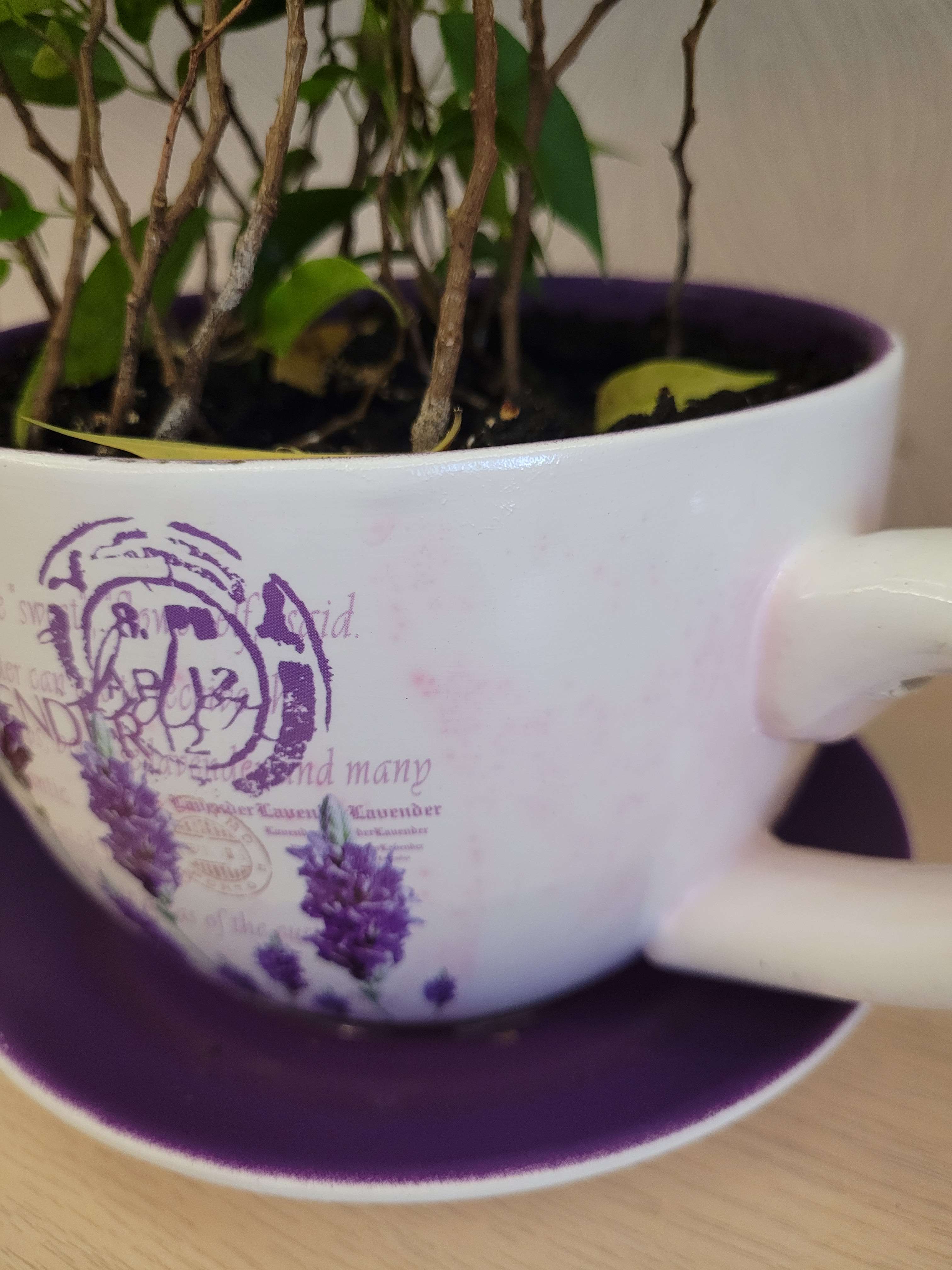 Фотография покупателя товара Горшок в форме чашки "Эмма" лаванда, 19х15х10см - Фото 6