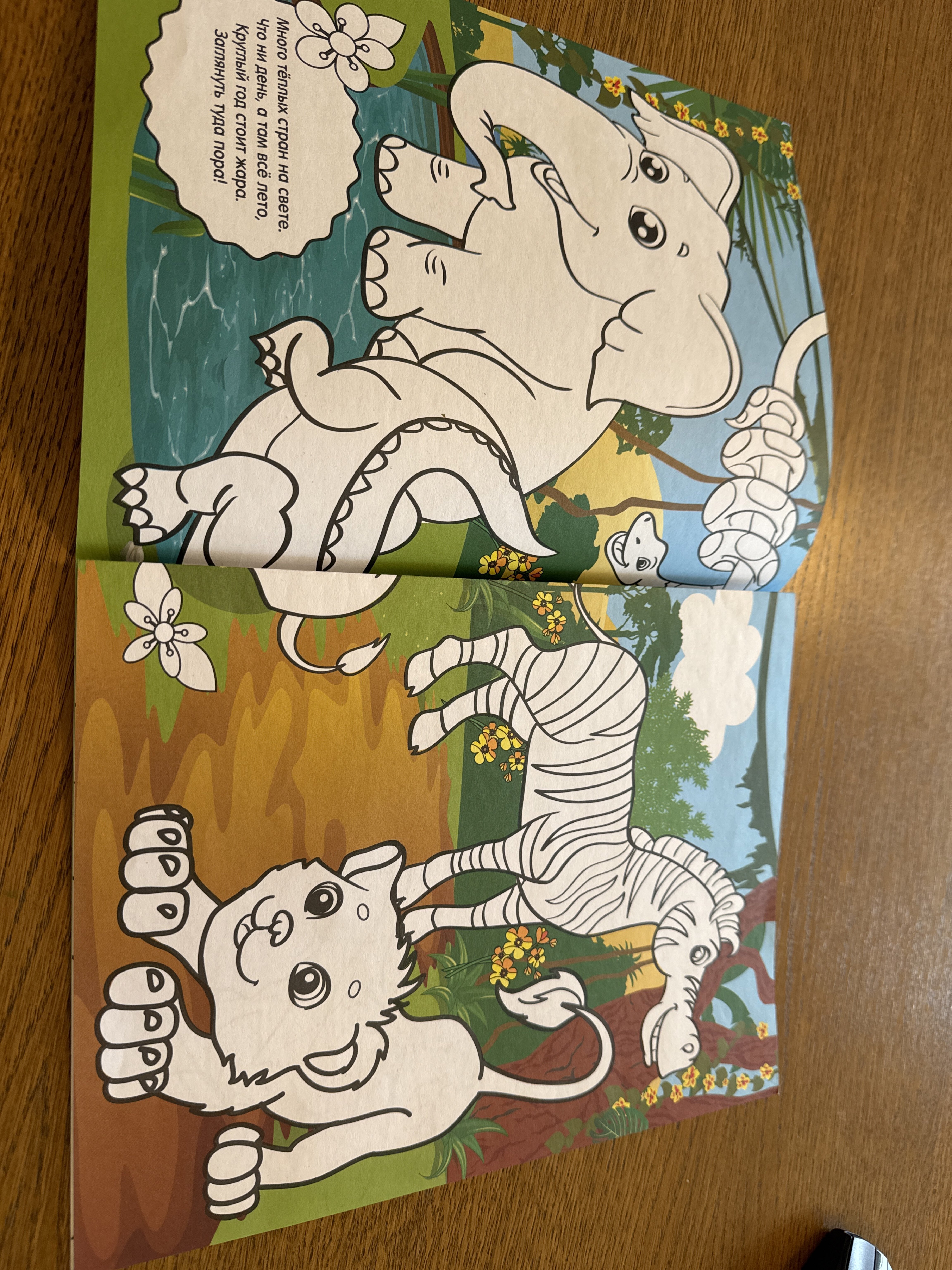 Фотография покупателя товара Раскраска длинная «В тёплых странах» - Фото 2