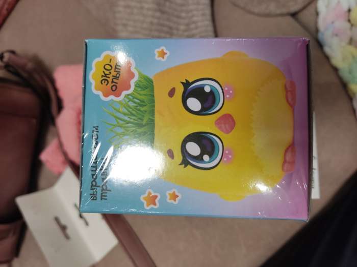 Фотография покупателя товара Набор для опытов, для детей «Пташки, выращиваем травку», растение в жёлтом горшочке - Фото 9