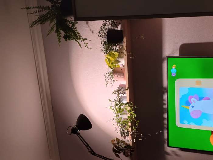 Фотография покупателя товара Фитолампа светодиодная Uniel, А60, Е27, 15 Вт, 250 В, 220°, спектр для фотосинтеза - Фото 1