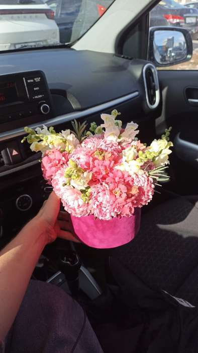 Фотография покупателя товара Семена Цветов Астра «Александрия шамоа», 0.1 г - Фото 3