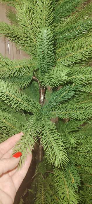 Фотография покупателя товара Ёлка литая 120 см, d нижнего яруса 65 см, 206 веток, металл подставка - Фото 2