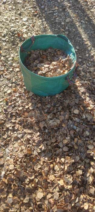 Фотография покупателя товара Мешок для компоста и листьев, 160 л, 60×60 см, плотность 145 г/м², полипропилен, Greengo - Фото 1