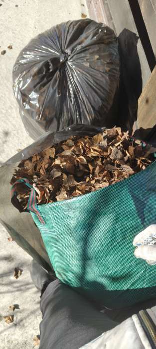 Фотография покупателя товара Мешок для компоста и листьев, 160 л, 60×60 см, плотность 145 г/м², полипропилен, Greengo - Фото 2