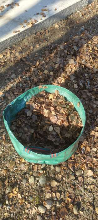 Фотография покупателя товара Мешок для компоста и листьев, 160 л, 60×60 см, плотность 145 г/м², полипропилен, Greengo - Фото 3