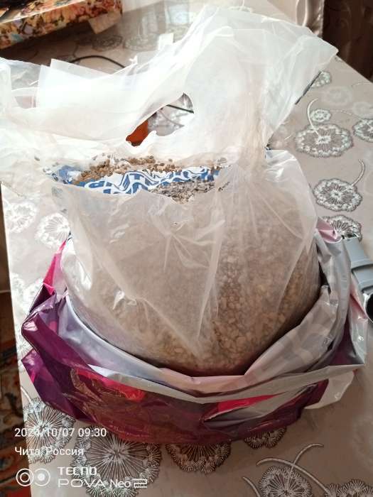 Фотография покупателя товара Наполнитель минеральный впитывающий «Мой выбор», универсальный, 2.8 кг, впитываемость до 5 л - Фото 2