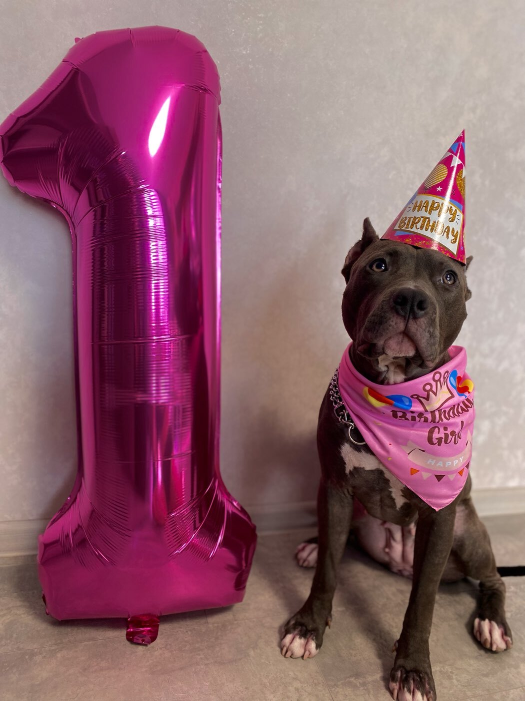 Фотография покупателя товара Колпак праздничный бумажный «С днём рождения», шары и гирлянды - Фото 1