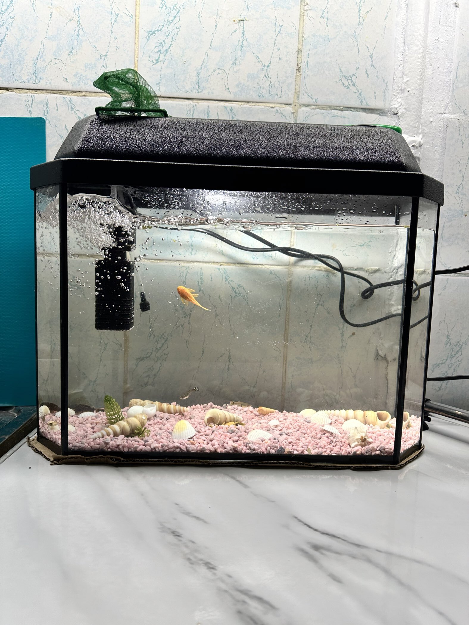 Фотография покупателя товара Аквариум «Панорамный» с крышкой, 15 л, 40×14.5×27/32 см, чёрный - Фото 2