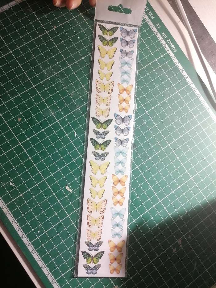 Фотография покупателя товара Набор полос для декорирования "Бабочки 6" 5 шт, 5х30,5 см - Фото 2