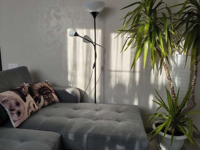 Фотография покупателя товара Наволочка декоративная Этель «Сова» 40×40 см, велюр - Фото 1