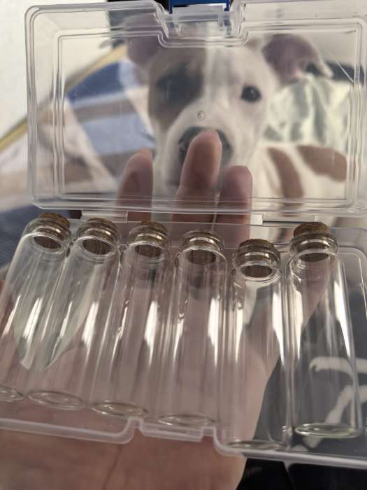 Фотография покупателя товара Набор баночек для хранения бисера, d=2.2×7 см, 6 шт., в контейнере, 14.5×8.5×3.5 см - Фото 1