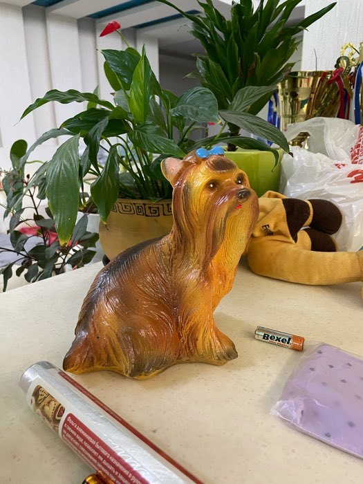 Фотография покупателя товара Садовая фигура "Собака Йоркширский терьер" маленький - Фото 1