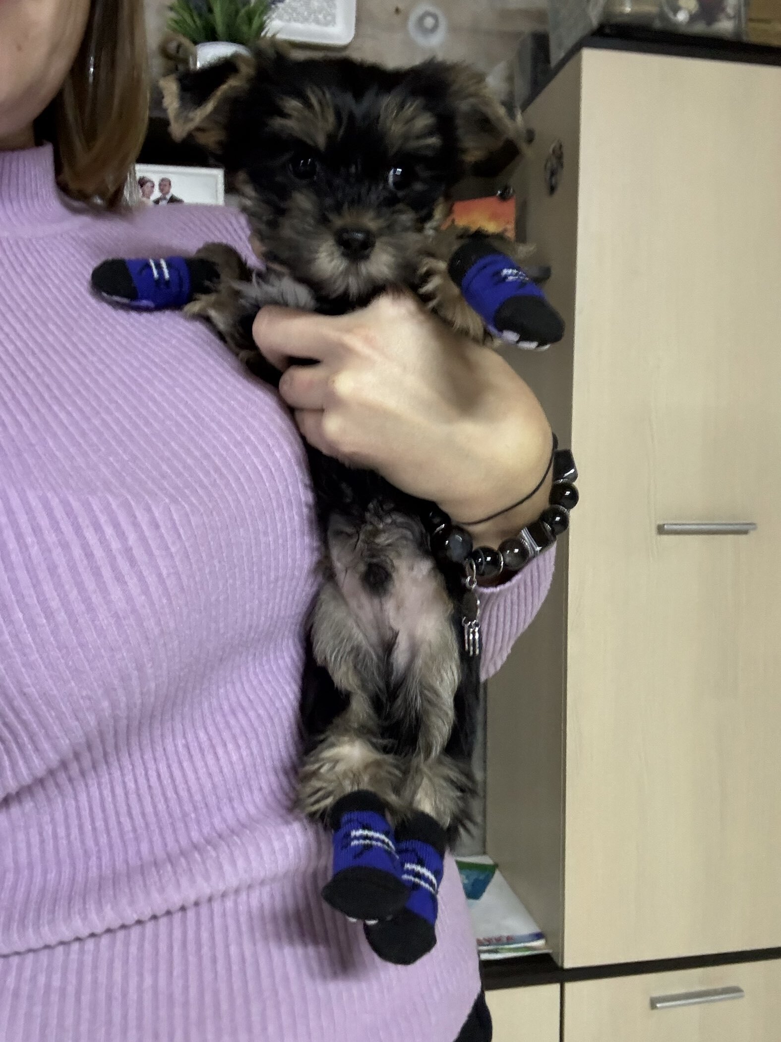 Фотография покупателя товара Носки нескользящие «Шнурки», размер M (3/4×7.5 см), набор 4 шт. - Фото 1