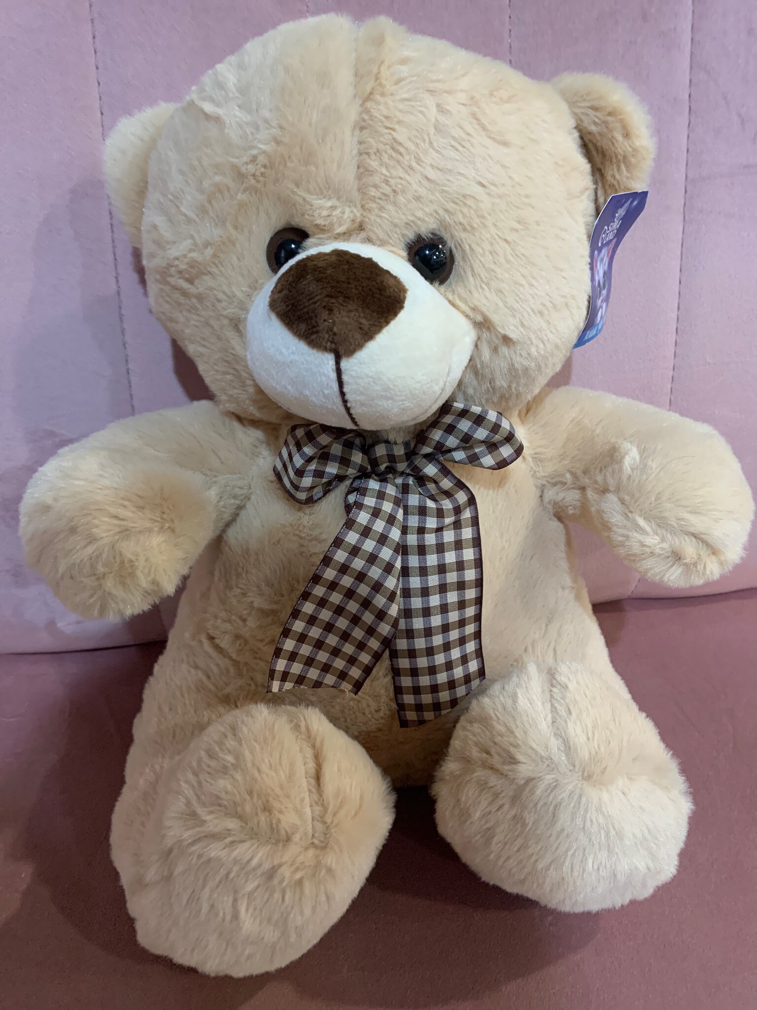 Фотография покупателя товара Мягкая игрушка «Медведь», с бантом, 30 см, цвет бежевый - Фото 4